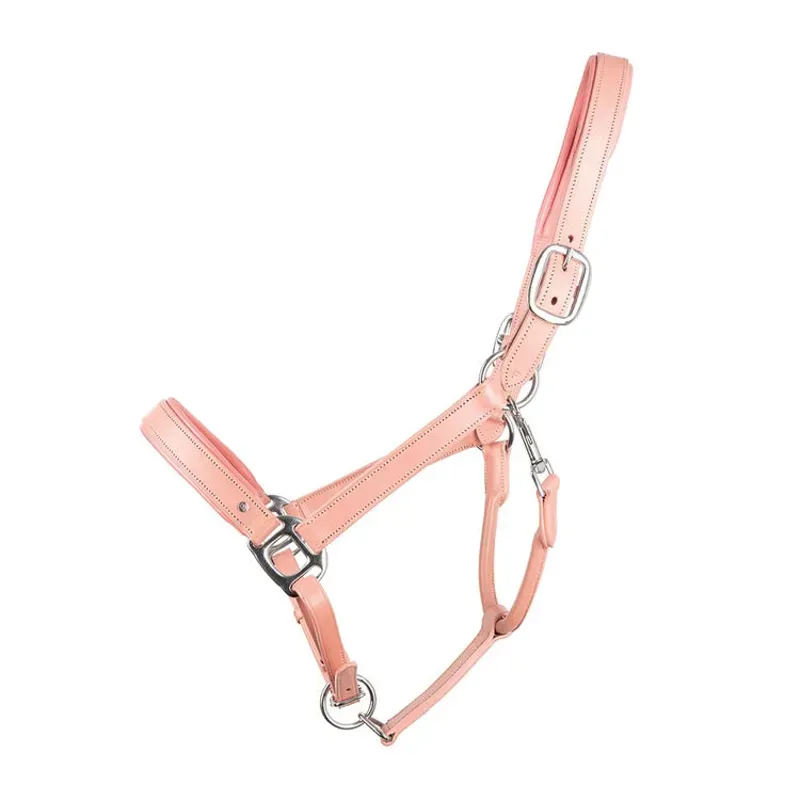 Little Rider Serena Leather Head Collar in Pink