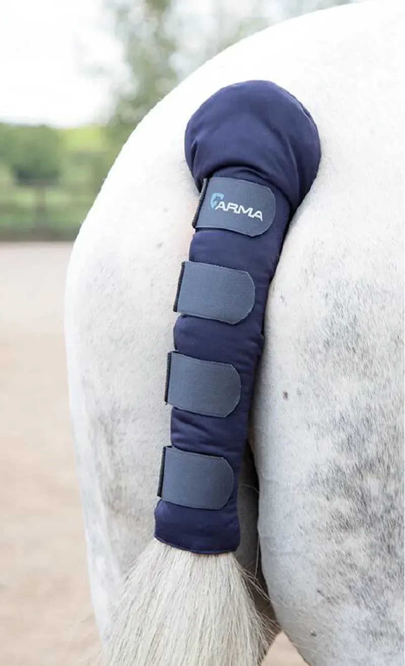 Shires One Size Arma Padded Tail Guard In Blue