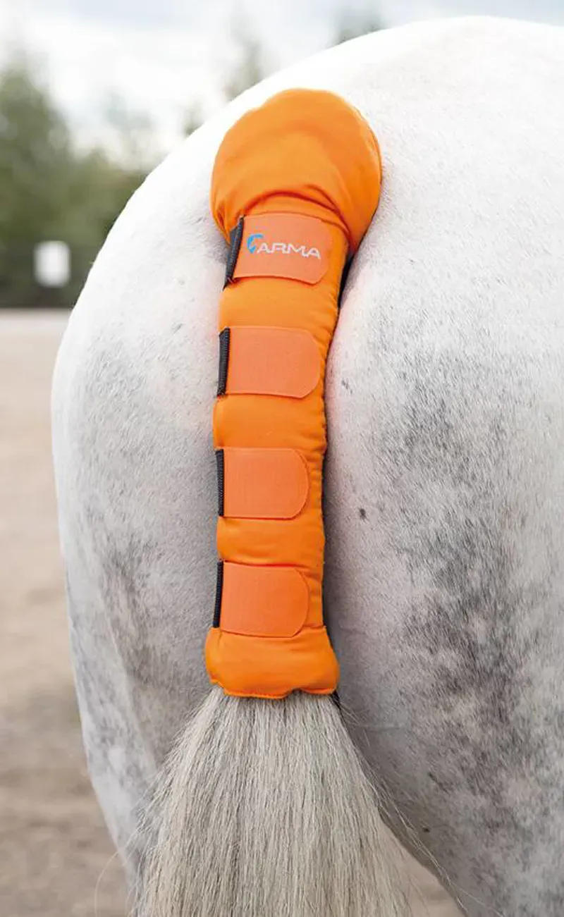 Shires Arma One Size Padded Tail Guard In Orange