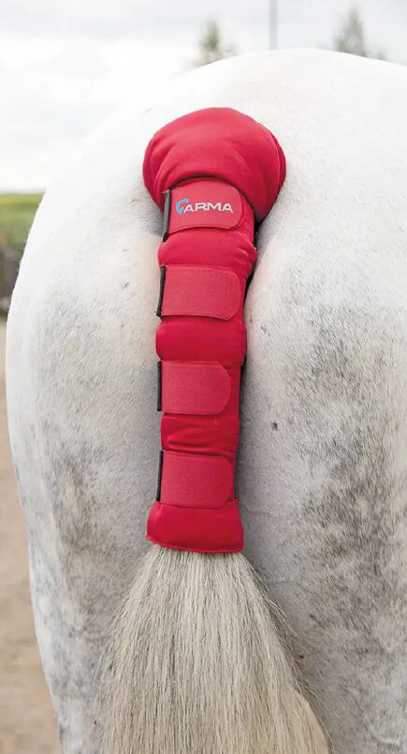 Shires Arma One Size Padded Tail Guard In Red