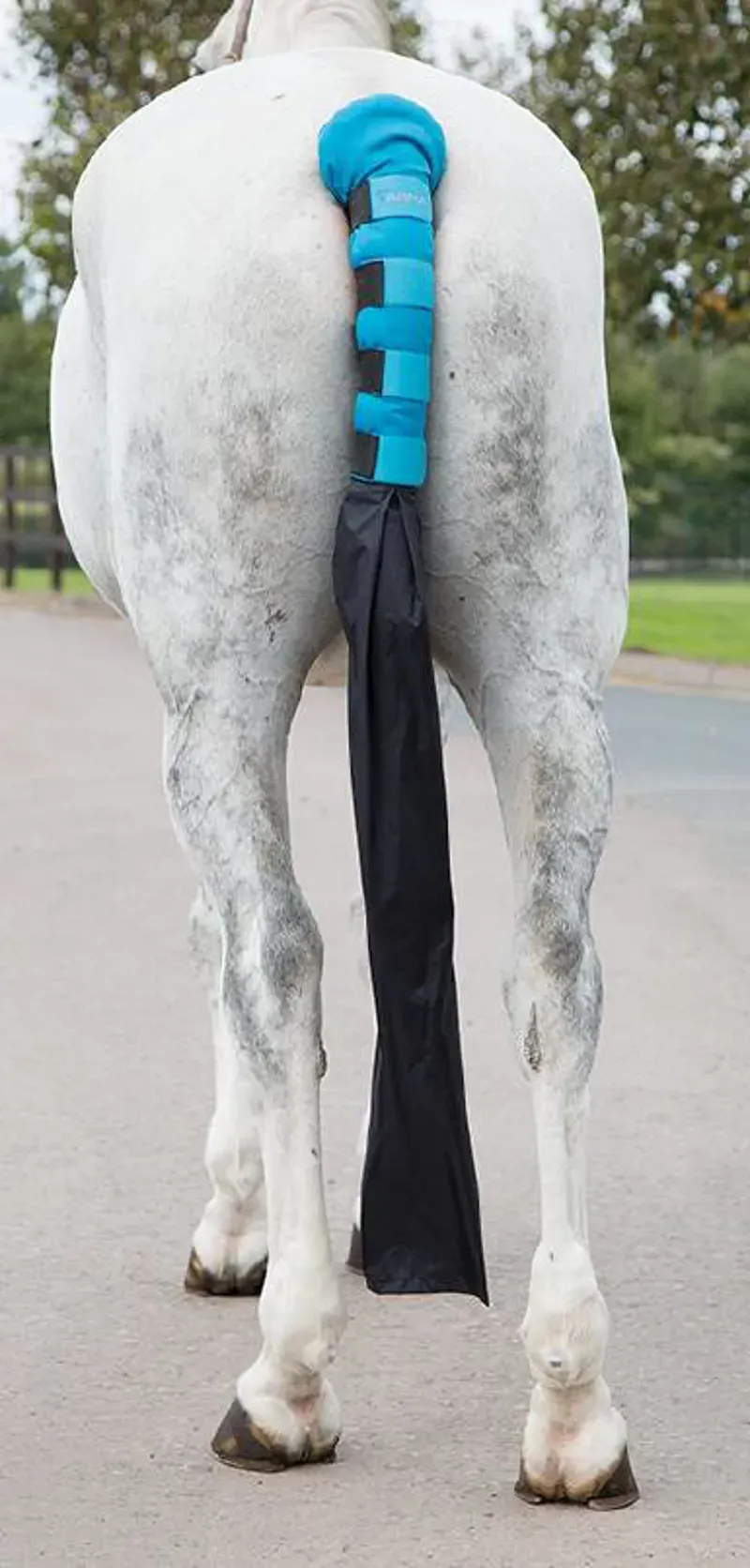 Shires Arma One Size Padded Tail Guard With Bag In Blue