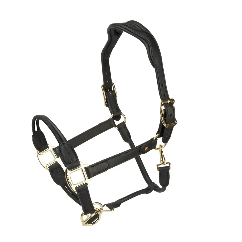 Velociti Lusso Soria Leather Headcollar in Black