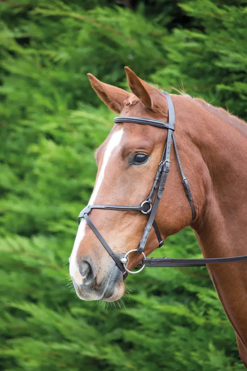 Aviemore Mexican Bridle in Brown