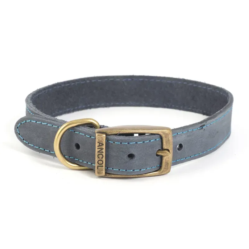Ancol Medium Timberwolf Leather Collar in Blue