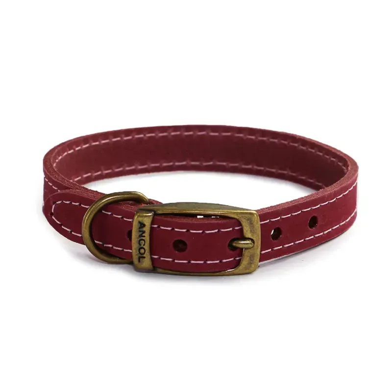 Ancol Size 6 45- 54cm Timberwolf Leather Collar in Raspberry