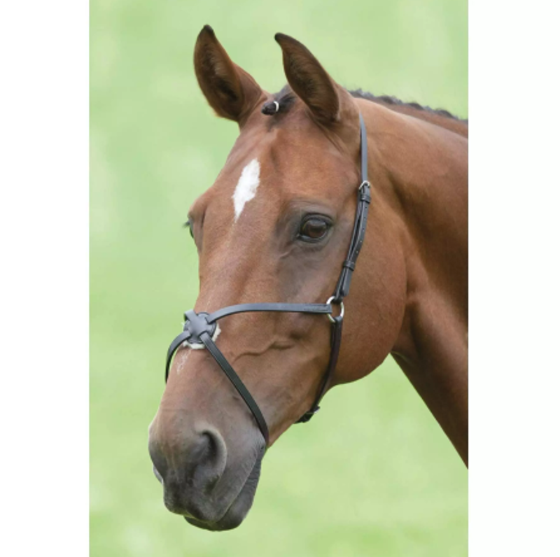 Velociti Grackle Noseband in Black