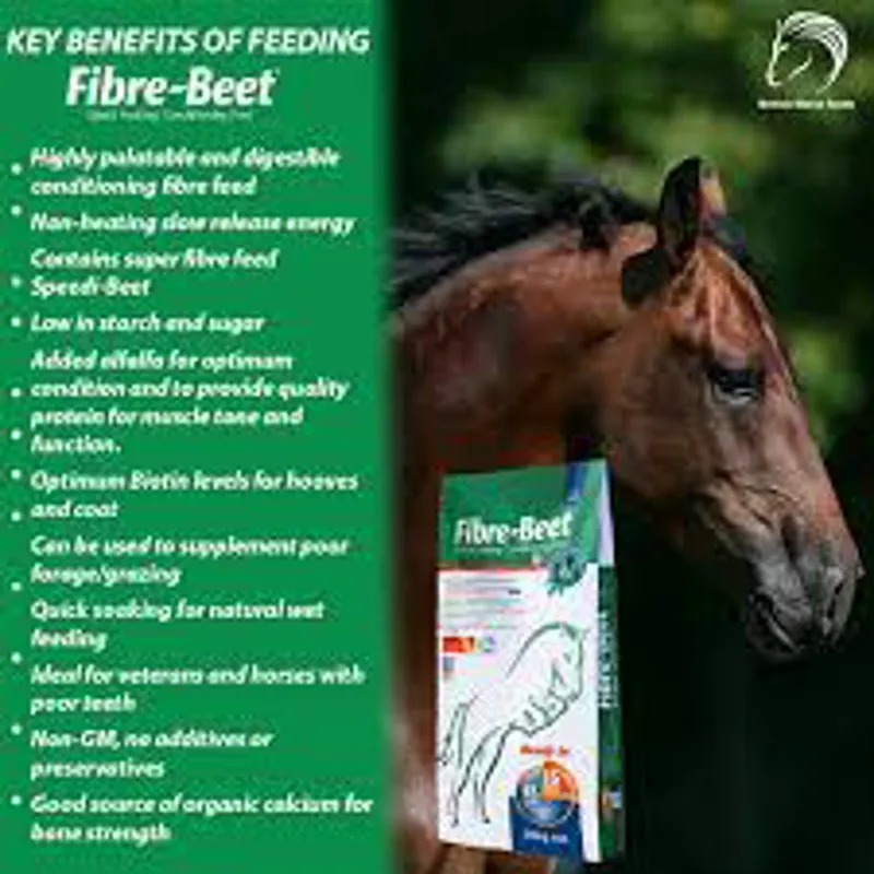 British Horse Feeds Fibre Beet 20KG-1