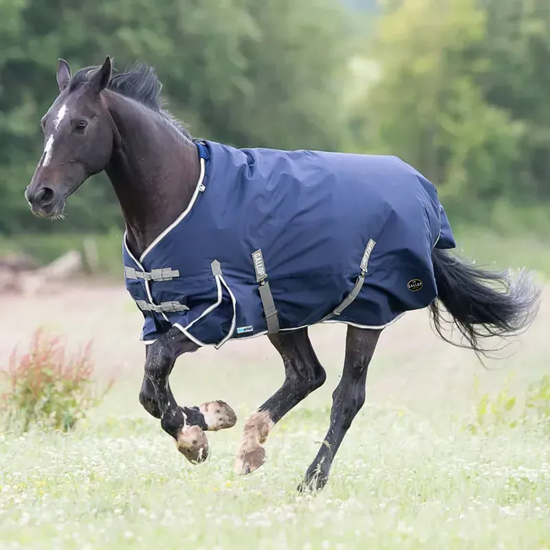 Gallop Trojan Duraproof 300g Turnout in Navy