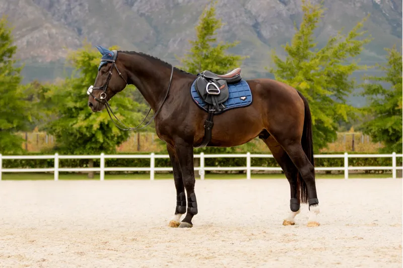 LeMieux Loire Classic Close Contact Square Atlantic-3