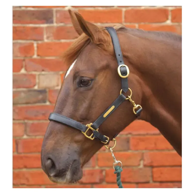 Hy Equestrian Leather Head Collar in Black