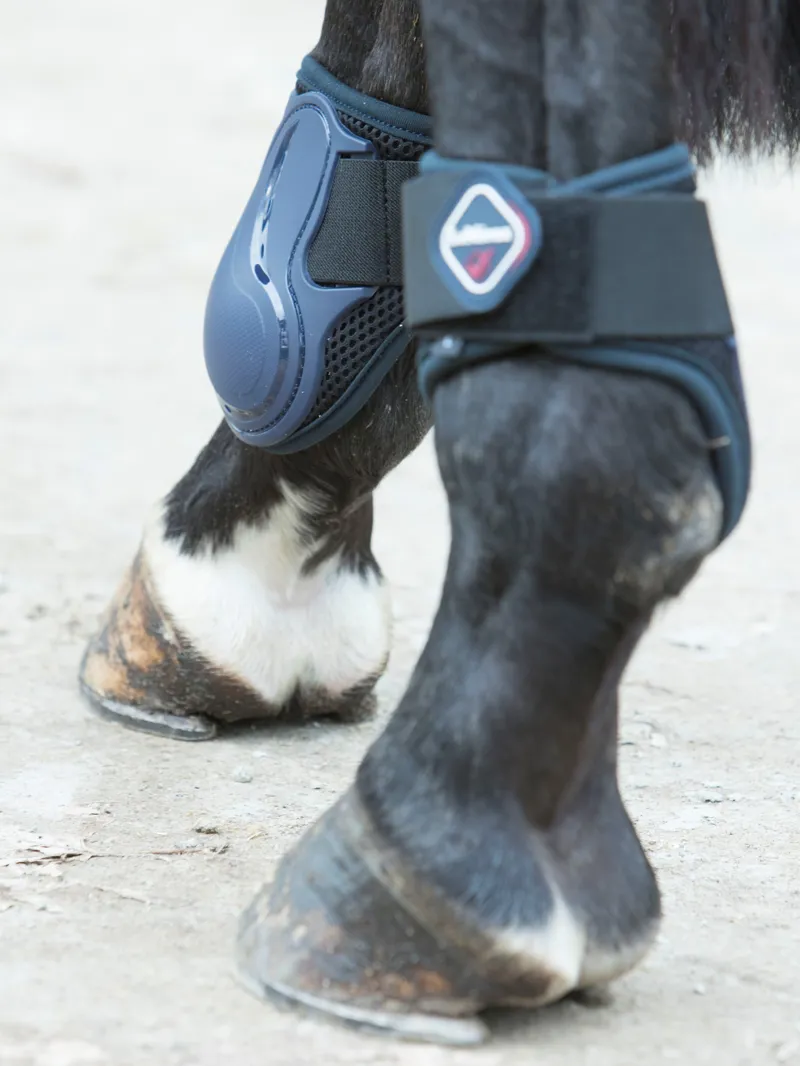 LeMieux - Derby Fetlock Boot Navy-1