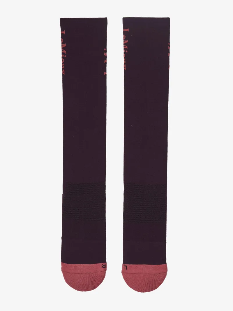 Lemieux -Performance Socks Damson-1